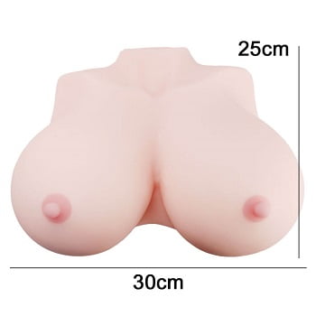 人工乳房ぱふぱふ日和サイズ