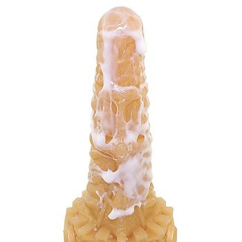 光龍ディルド使用例