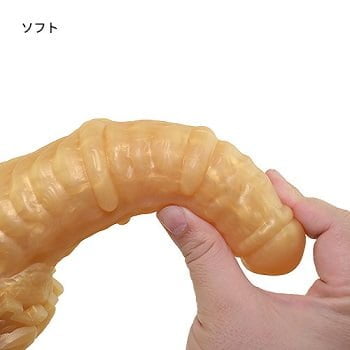 光龍素材ソフト