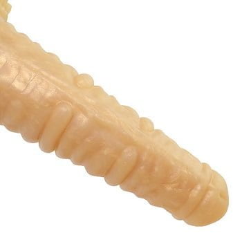 光龍裏面デザイン