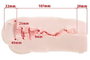 すじまんくぱぁろりんこ内部構造サイズ