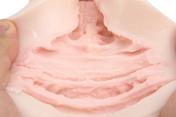 すじまんくぱぁろりんこ内部構造