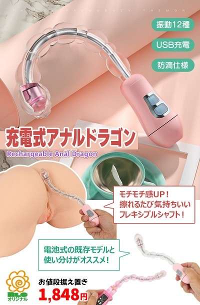 充電式アナルドラゴンNLS
