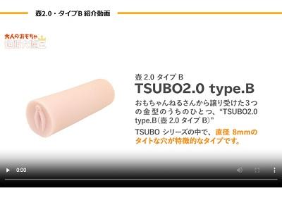 TSUBOタイプB動画