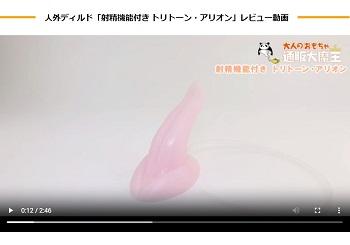 トリトーンアリオン動画