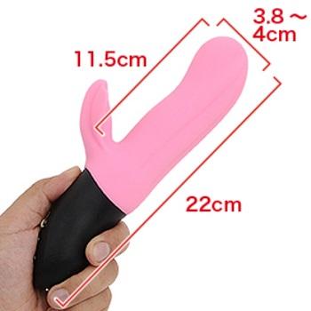 バイストロニックフュージョンサイズ