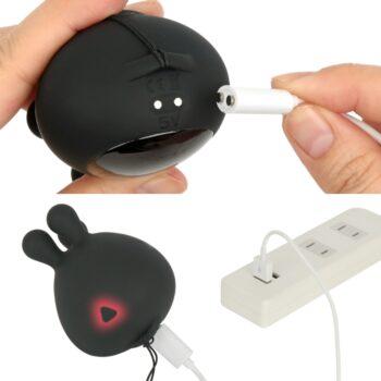 クリチクコネコネローター9電源