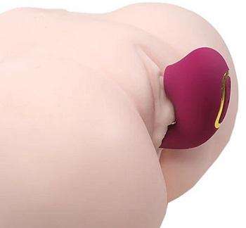 Tara2代目使用例