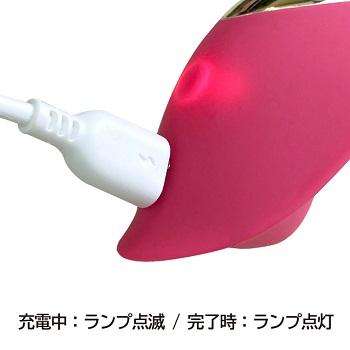 シークレットローター電源