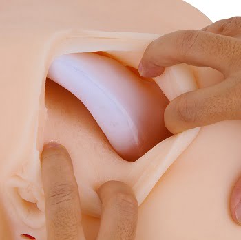 艶めき生腰骨格