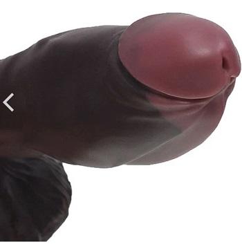 ウエインカムイディルド亀頭