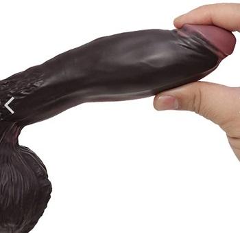 ウエインカムイハード