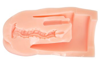 ぷにあなロイドREALオナホ内部構造