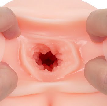 ぷにあなロイドREAL挿入口