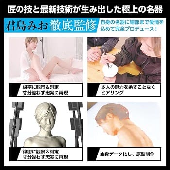 日本の名器君島みおオナホールスキャン