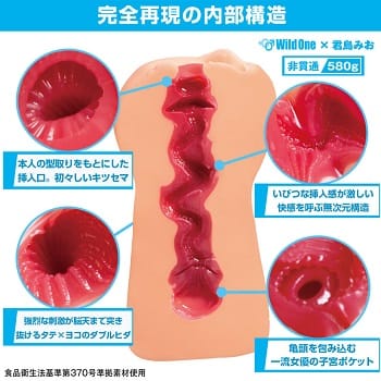 日本の名器君島みお内部構造