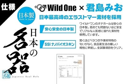 日本の名器君島みお素材