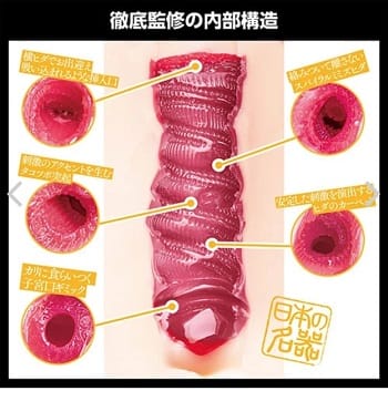 日本の名器東條なつ内部構造