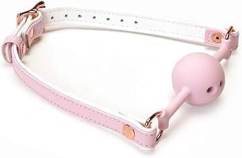 フェアリー口枷