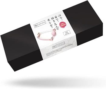 フェアリー口枷価格