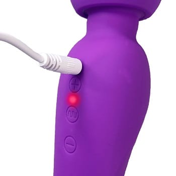 プニモッチンラブトリップ電マ充電