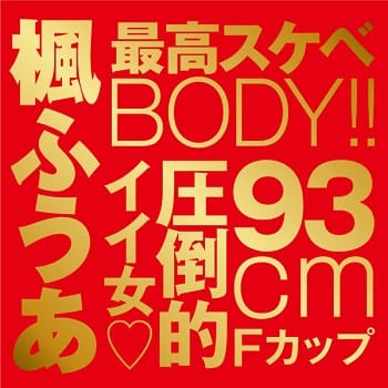 JAPANESEREALHOLE激楓ふうあ価格