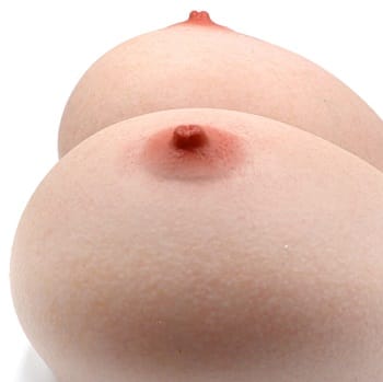 アメリカンビッグブレスト乳房