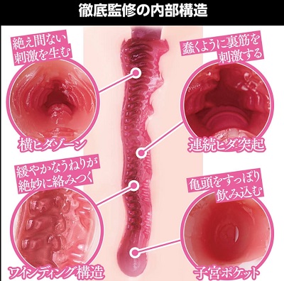 日本の名器美谷朱音オナホ内部