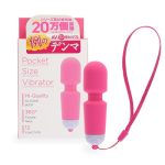 例のデンマポケット