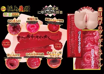 極上生腰ミニ森日向子内部構造