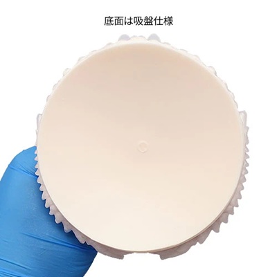 骸殻龍使用例